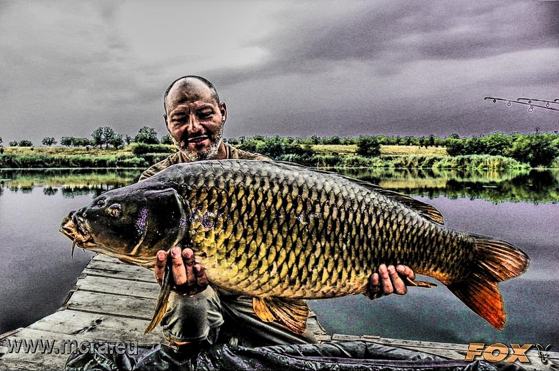 MeetCarp Romanian Awards 2013 (3) - 1030052hdrmode2-2.jpg